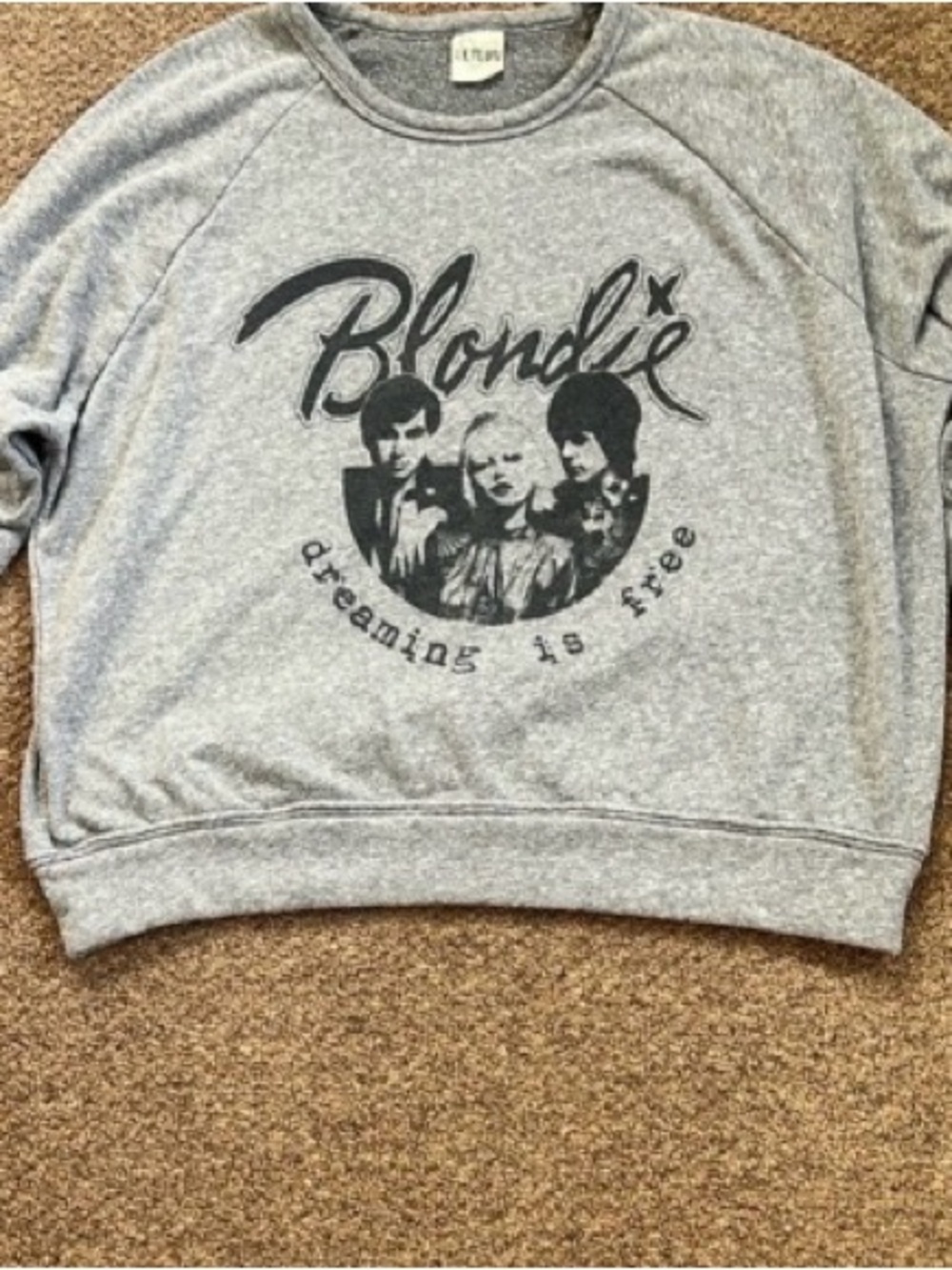 Blondie Graphic Sweatshirt - Gray